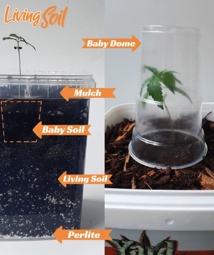 Preview: Grow Bucket Living Soil organic